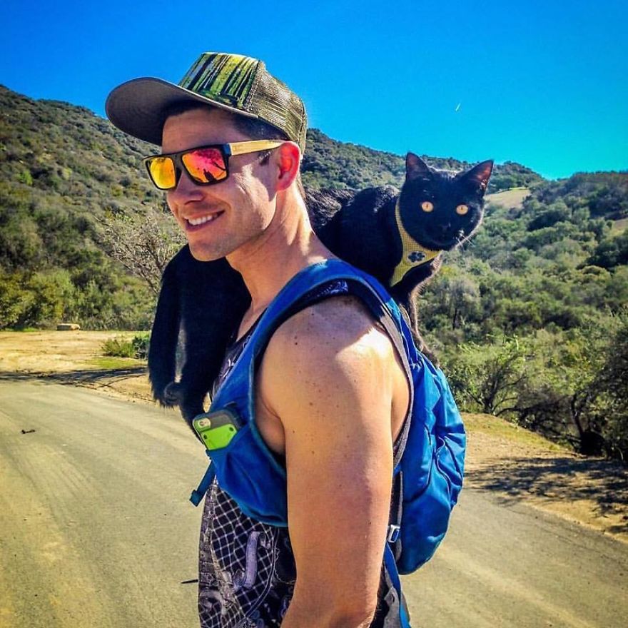 Meet Simon, Who Has Been Traveling With His Human For Two Years Meet Simon, Who Has Been Traveling With His Human For Two Years