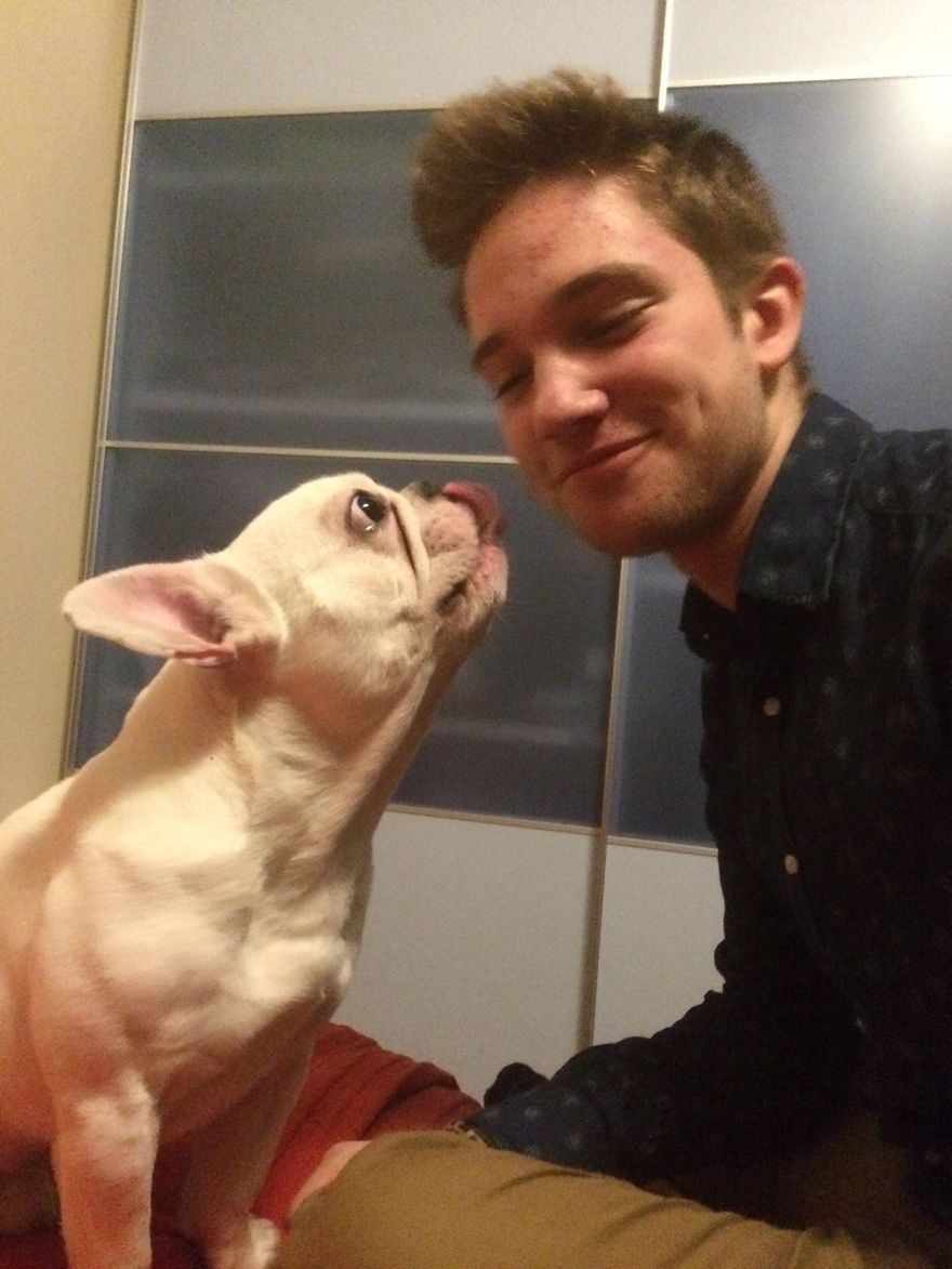 Meet Edgar, My Hyperactive Frenchie