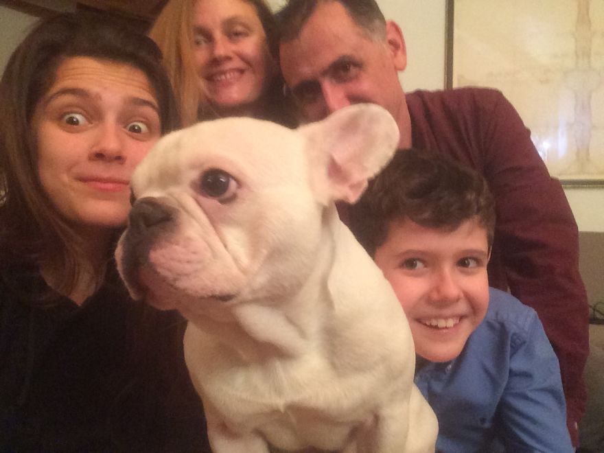 Meet Edgar, My Hyperactive Frenchie