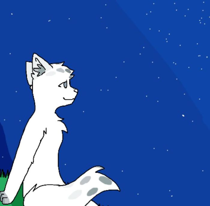 My Amateur Animations I Spent All Year On… And I’m So Happy How They Turned Out