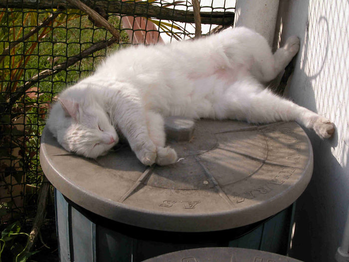 When It All Get To Be Too Much.