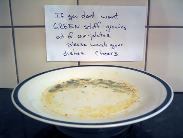 With 17 Roommates, It Could Have Been Worse