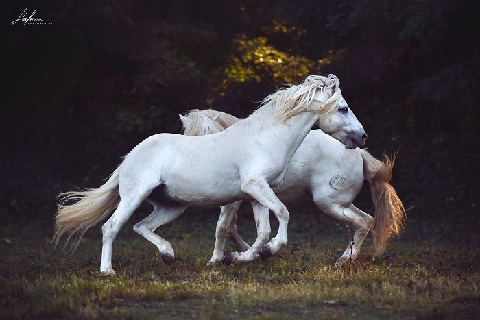 How Photography Gave My Life Purpose Again