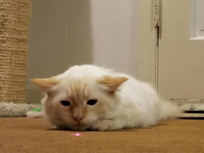 You Want Me To Play With This?