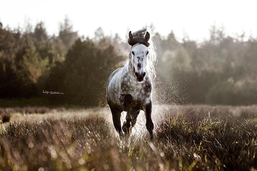 Bringing My Childhood Dreams To Life