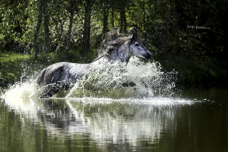 Bringing My Childhood Dreams To Life