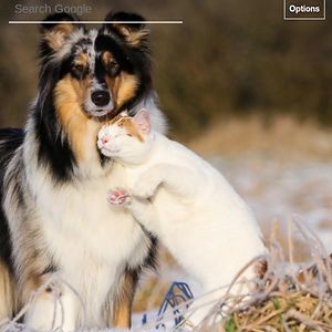 isabellehughes avatar