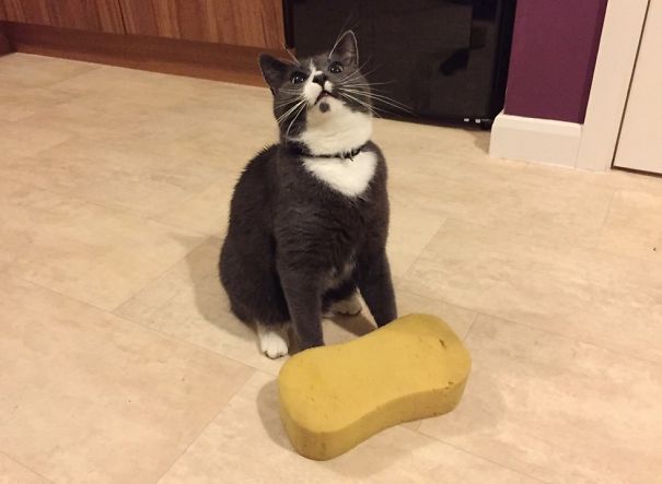 Some Of The Happiest (And Funniest) Facts You'll Ever Read