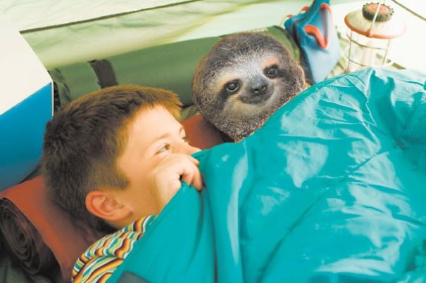 Some Of The Happiest (And Funniest) Facts You'll Ever Read