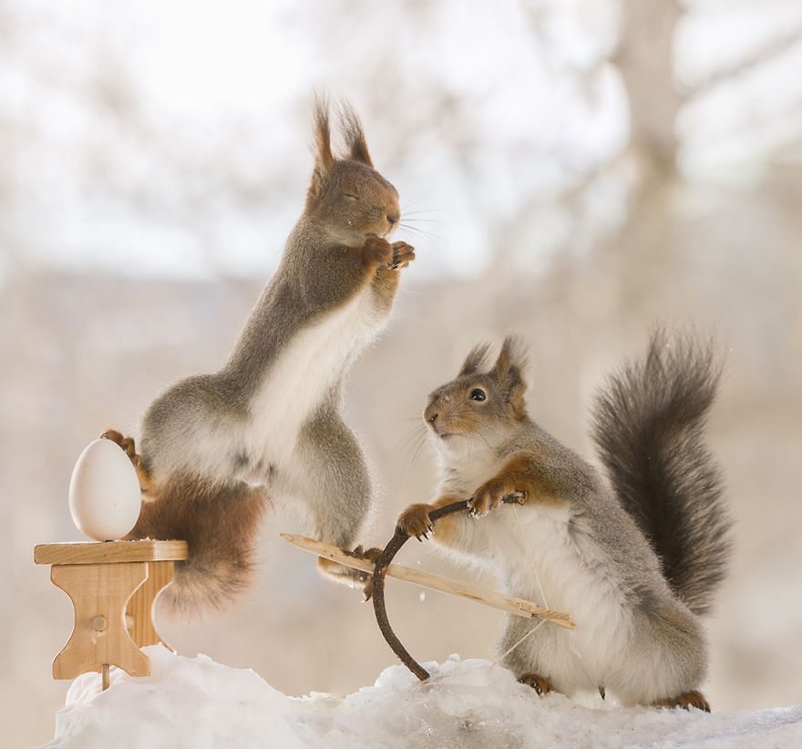 Wild Squirrels Celebrate Easter Wild Squirrels Celebrate Easter