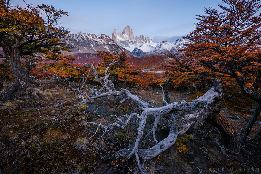 The End Of The Earth Is Full Of Colors