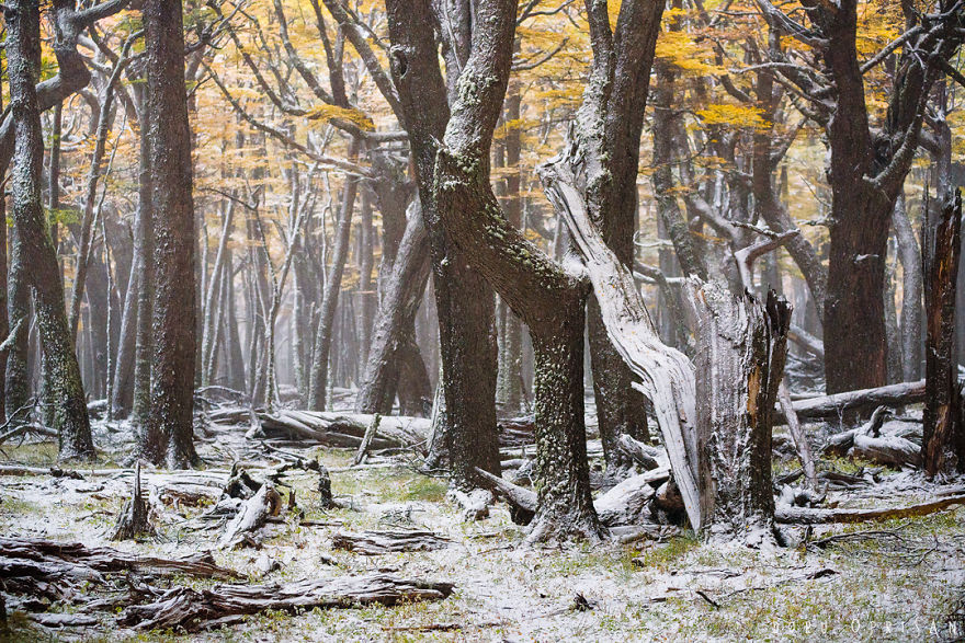 The End Of The Earth Is Full Of Colors