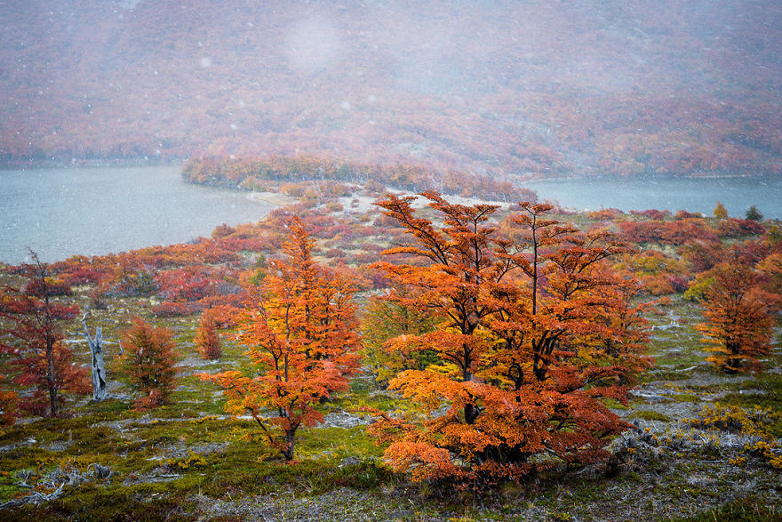 The End Of The Earth Is Full Of Colors