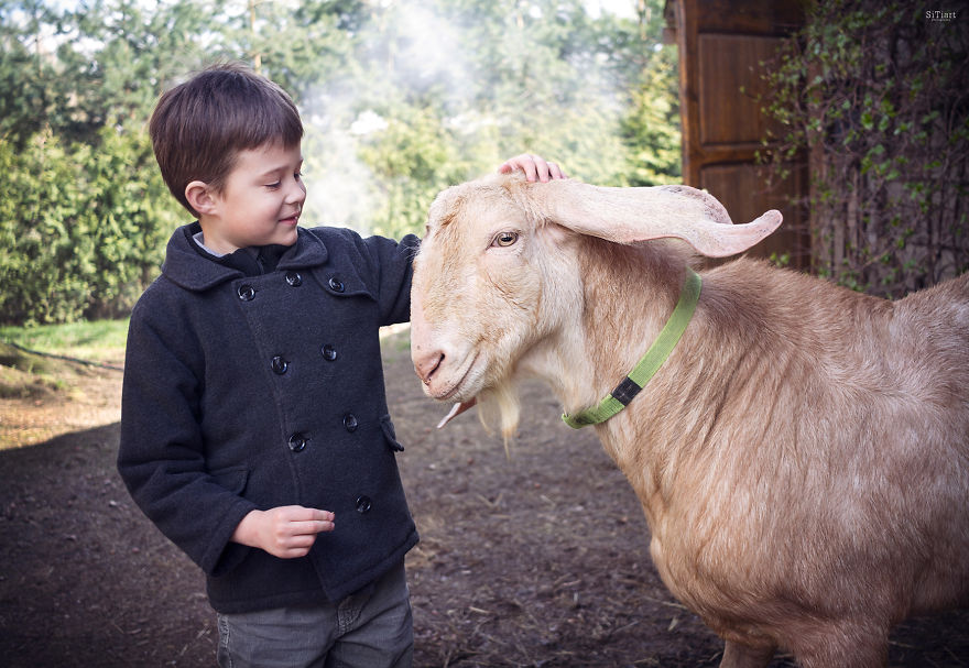 The Friendship Between Children And Animals The Friendship Between Children And Animals