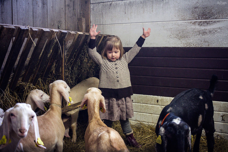 The Friendship Between Children And Animals The Friendship Between Children And Animals