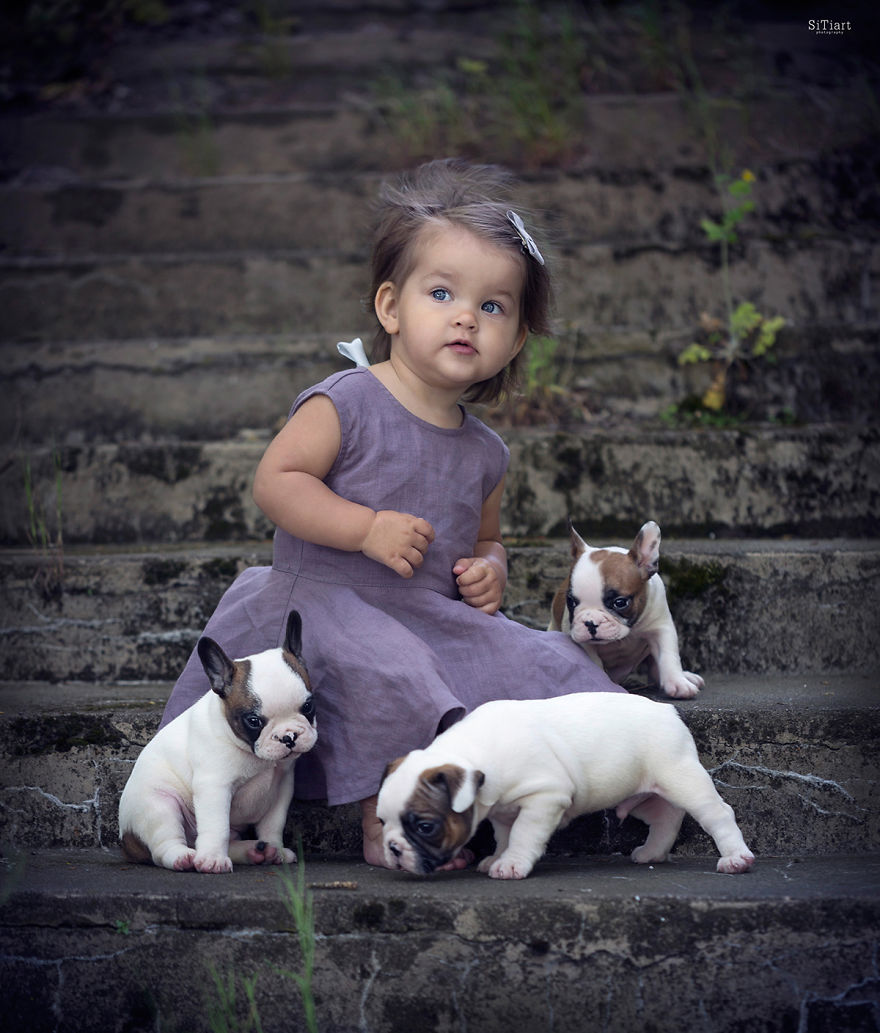 The Friendship Between Children And Animals The Friendship Between Children And Animals