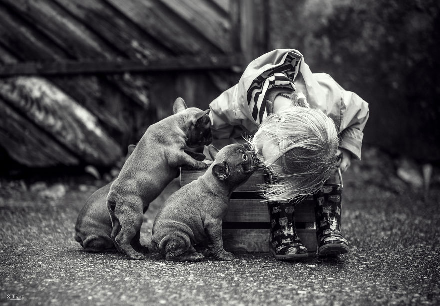 The Friendship Between Children And Animals The Friendship Between Children And Animals