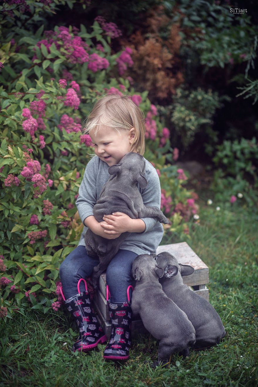 The Friendship Between Children And Animals The Friendship Between Children And Animals