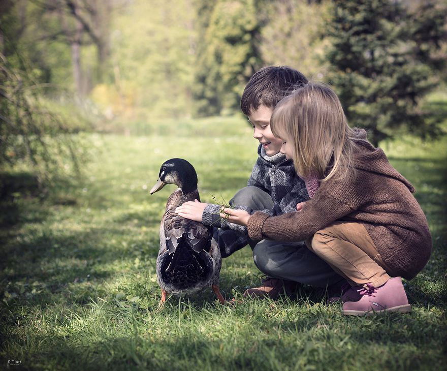 The Friendship Between Children And Animals The Friendship Between Children And Animals
