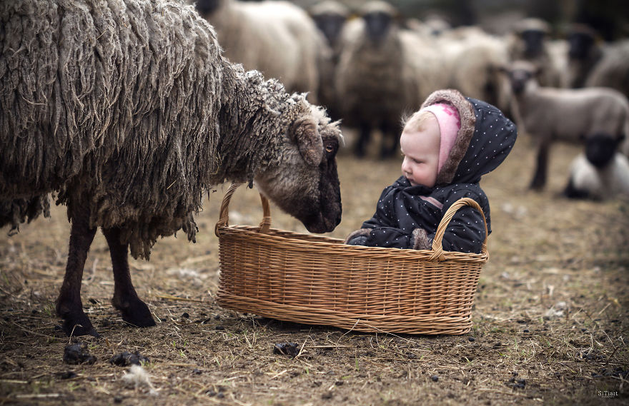 The Friendship Between Children And Animals The Friendship Between Children And Animals