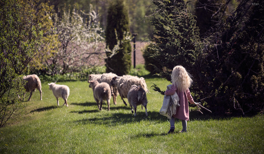 The Friendship Between Children And Animals The Friendship Between Children And Animals
