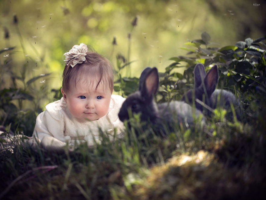 The Friendship Between Children And Animals The Friendship Between Children And Animals