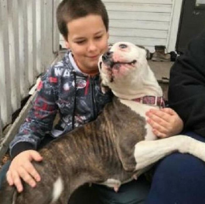 Thief Makes A Huge Mistake Breaking Into Home Where 9-Year-Old Boy Lives Thief Makes A Huge Mistake Breaking Into Home Where 9-Year-Old Boy Lives