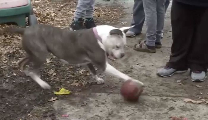 Thief Makes A Huge Mistake Breaking Into Home Where 9-Year-Old Boy Lives Thief Makes A Huge Mistake Breaking Into Home Where 9-Year-Old Boy Lives