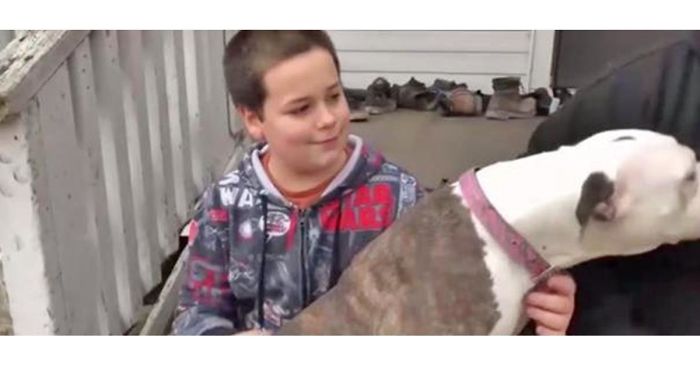 Thief Makes A Huge Mistake Breaking Into Home Where 9-Year-Old Boy Lives Thief Makes A Huge Mistake Breaking Into Home Where 9-Year-Old Boy Lives