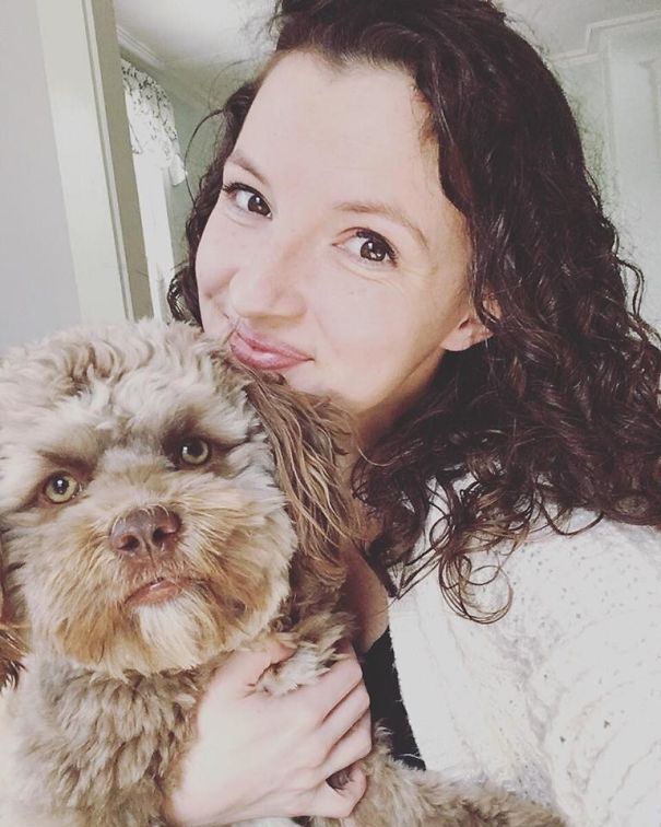 This Dog Has A ‘Human Face’ And It Will Make You More Uncomfortable The Longer You Stare At It This Dog Has A ‘Human Face’ And It Will Make You More Uncomfortable The Longer You Stare At It