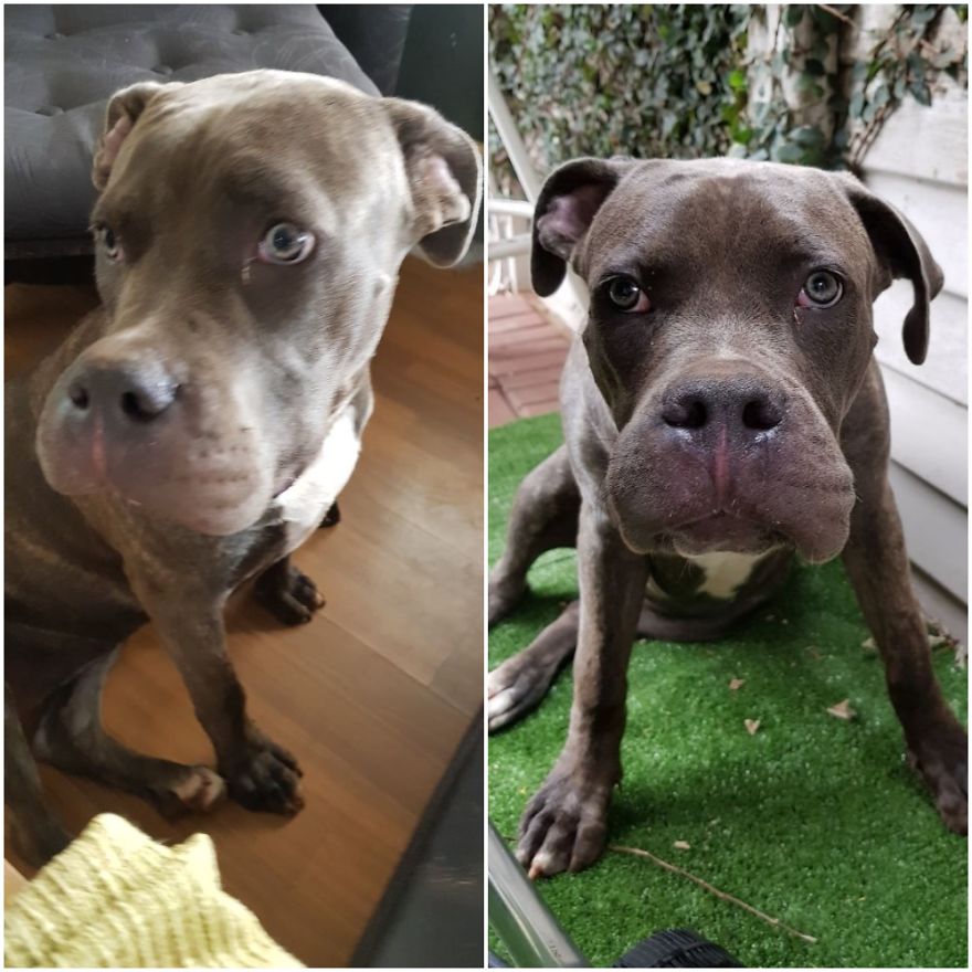 To Bee, Or Not To Bee