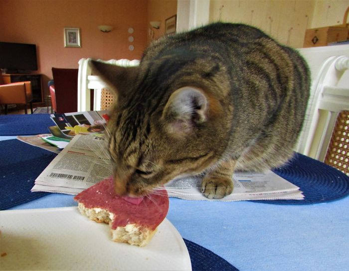 Let's Share Your Breakfast...