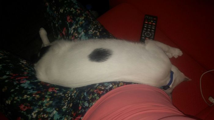 Just Going With Flow:) #cunkuocakil #becausesheispebbles