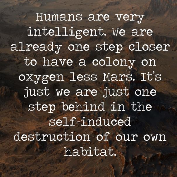 When I Decided To Convert My Feelings Into Quotes.