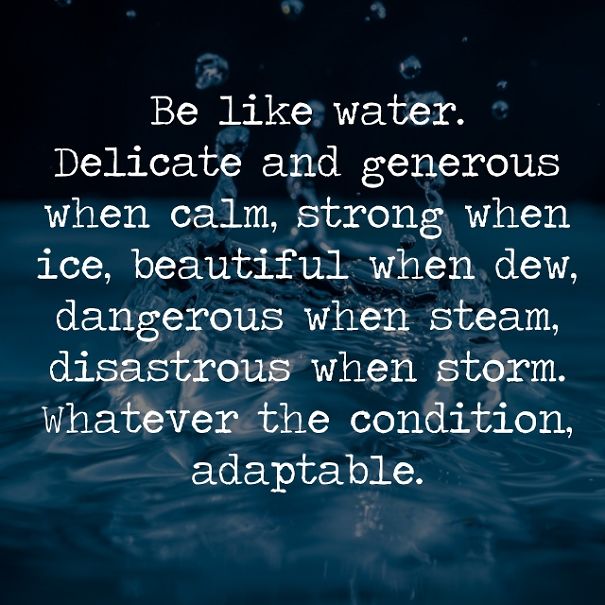 When I Decided To Convert My Feelings Into Quotes. When I Decided To Convert My Feelings Into Quotes.