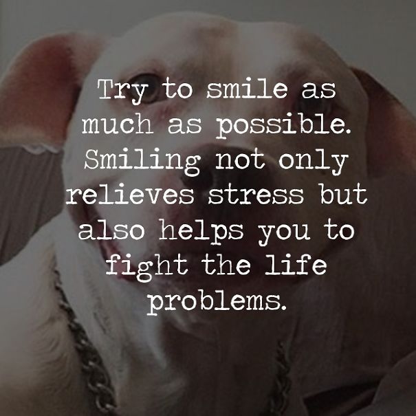 When I Decided To Convert My Feelings Into Quotes. When I Decided To Convert My Feelings Into Quotes.