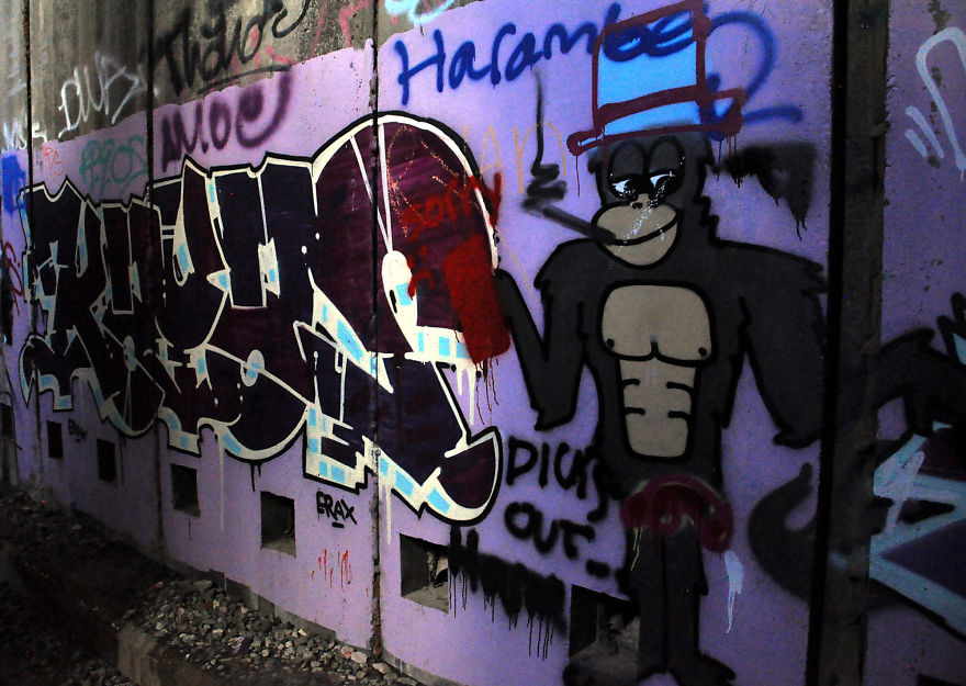 My Friends And I Spent Hours Exploring The Donner Tunnels And Snow Sheds, And All Concluded It Was An Incredible Experience