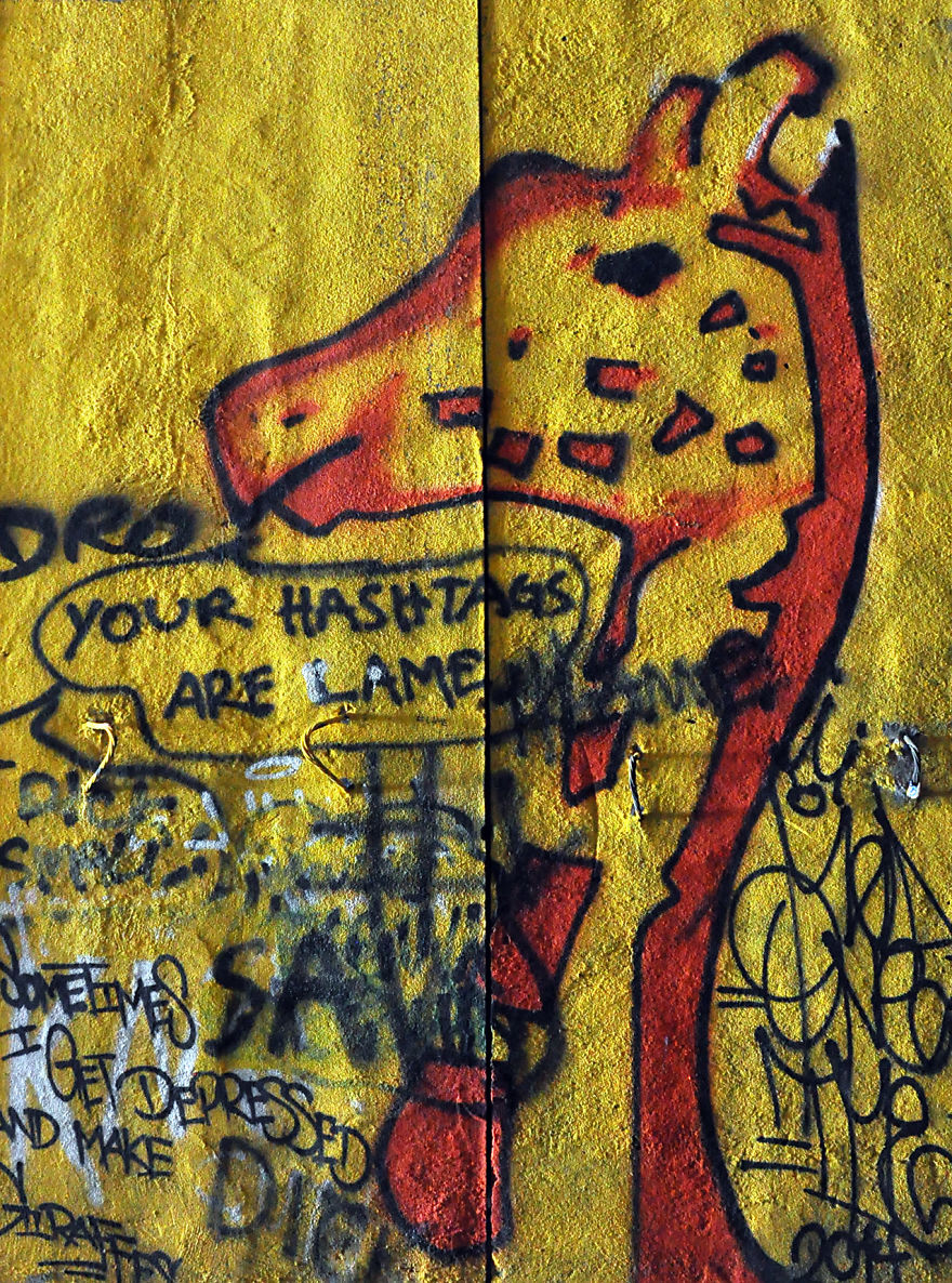 My Friends And I Spent Hours Exploring The Donner Tunnels And Snow Sheds, And All Concluded It Was An Incredible Experience