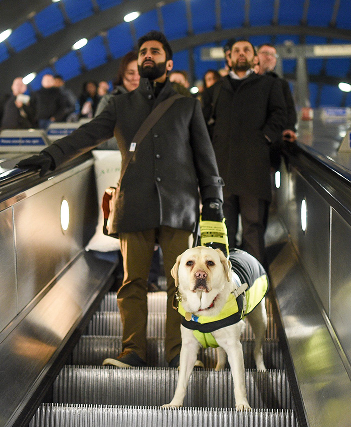 Blind Man Left In 'Tears' After Nobody Gave Up Their Seat For Him And His Guide Dog On The Train