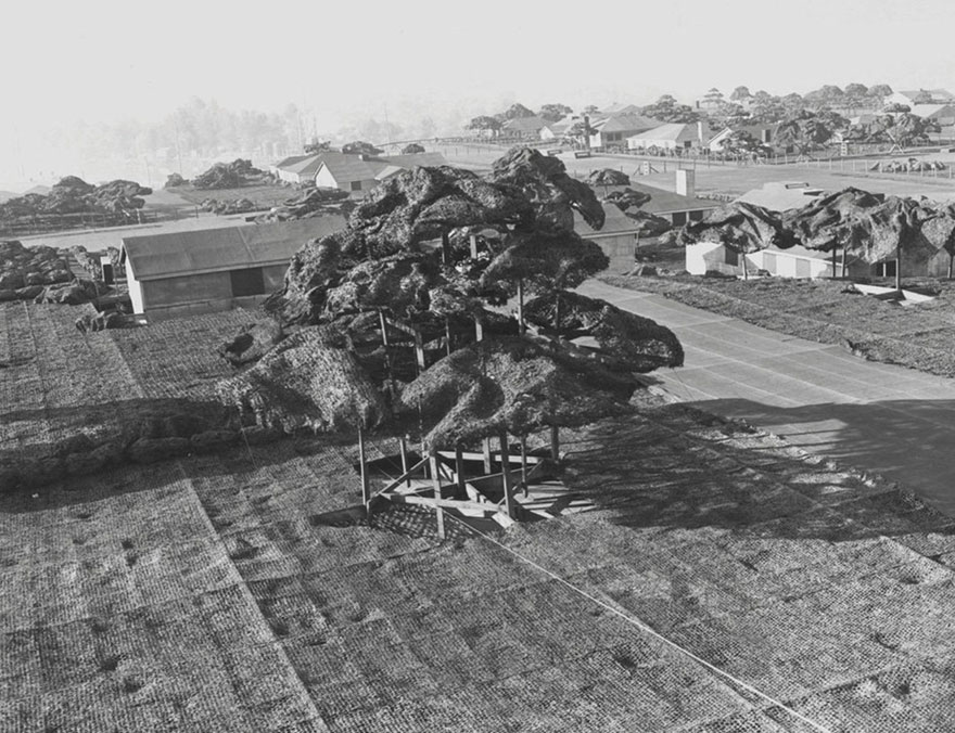 17 Rare Pics Reveal A Fake Rooftop Town Built To Hide Boeing’s Factory From Japanese Air Strikes 17 Rare Pics Reveal A Fake Rooftop Town Built To Hide Boeing’s Factory From Japanese Air Strikes