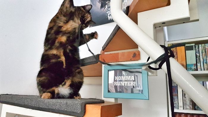 Hoch Die Hände - Wochenende! :)