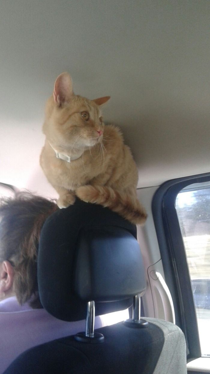 Im Above Everything Inside And Out... I Win