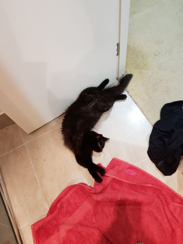 Mind Boggling Position