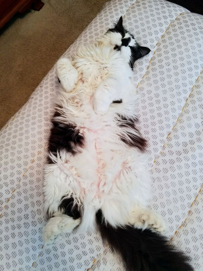 Showing Off Her Pink Belly