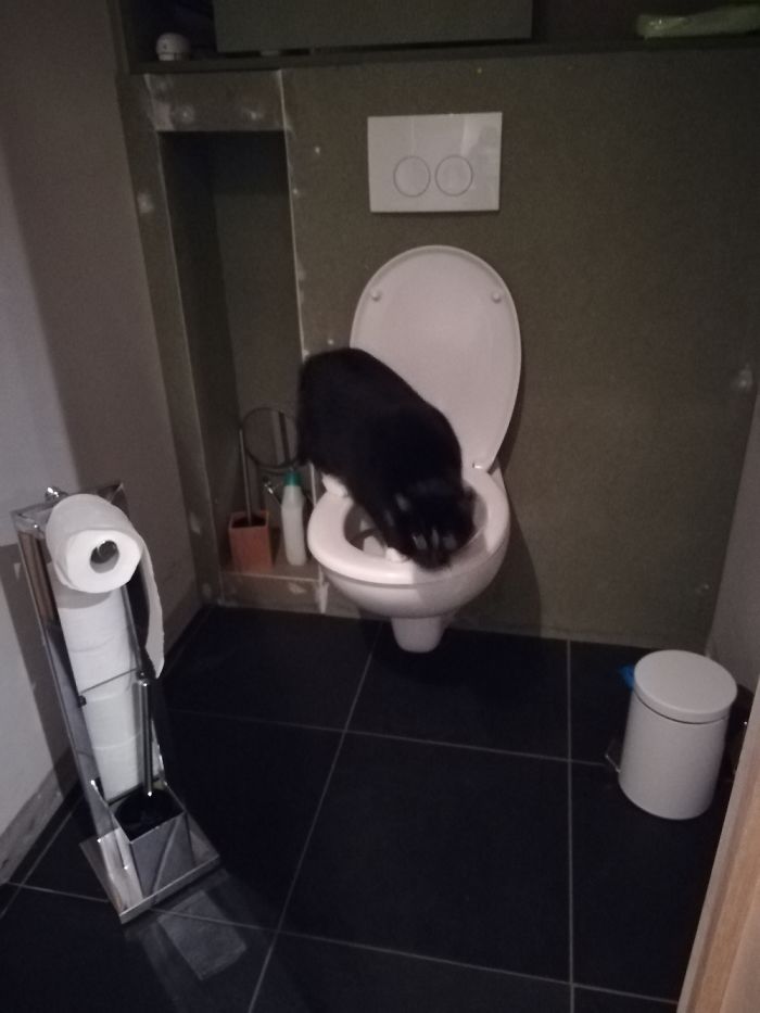 When You Really Really Have To Go...