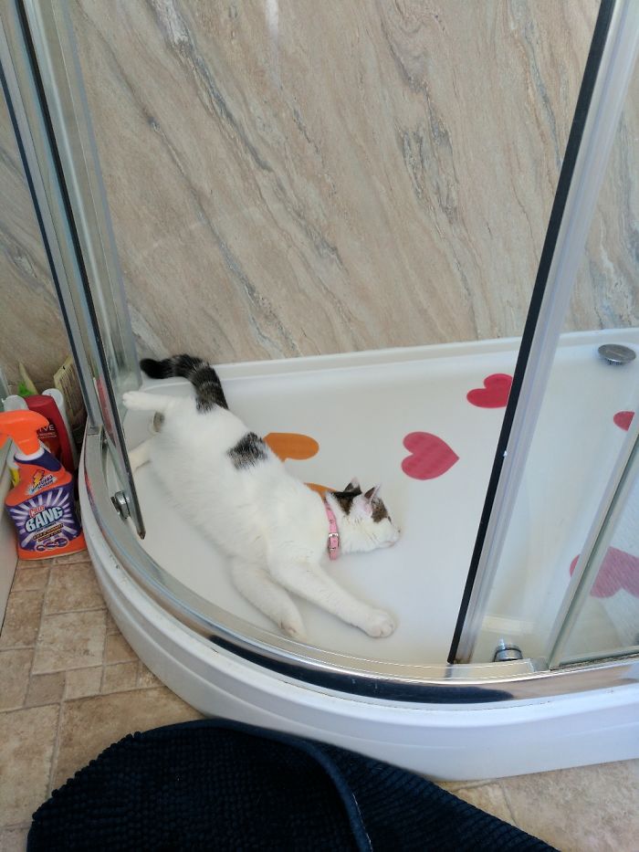 Not Sure What To Say About This.....