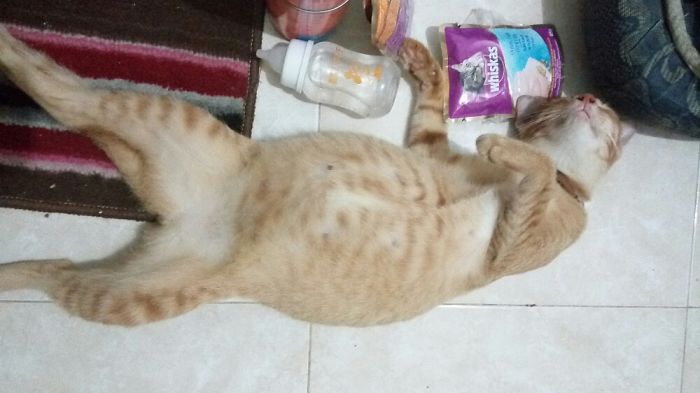 Life Is Hard When You're Pregnant And Drunk