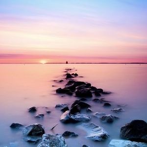 estherwallace avatar