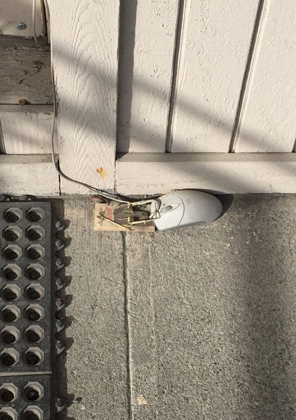 A Local Computer Repair Shop Thinks They're Funny. They're Right