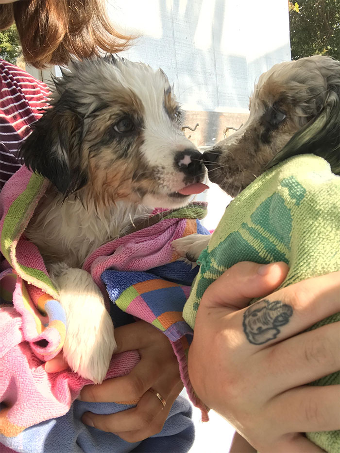 They Are So Hard To Get Pictures Of. They Have So Much Energy